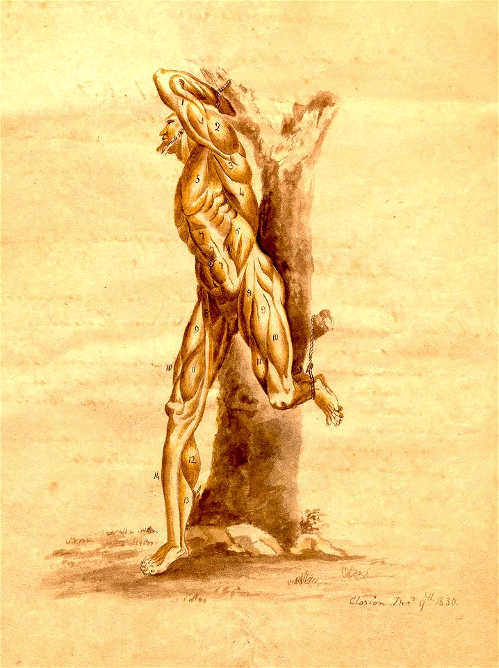 Clorion 03