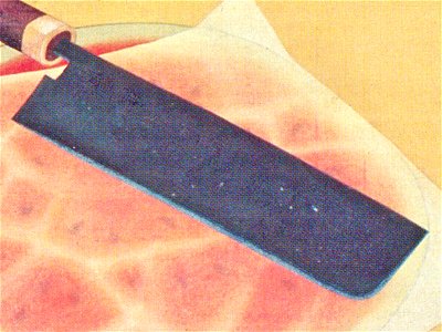 Close-up Suika-zu by Katsushika Hokusai