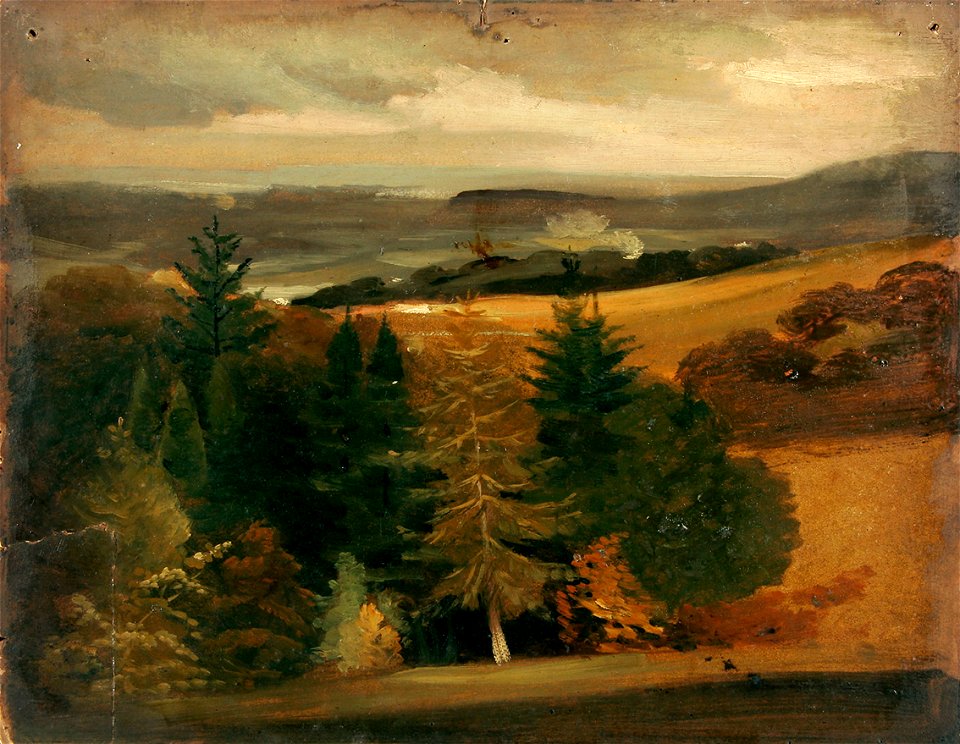 Clover - Wooded landscape
