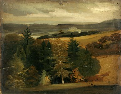 Clover - Wooded landscape