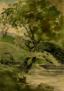 Clover - On North Tyne in Chipchase Park, Northumberland - August 1810