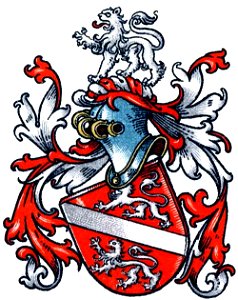 Coat of Arms Ingenhaven, resp. Ingenhaeff