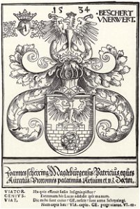 Coat of Arms of Johann Scheyring