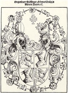 Coat of Arms of Degenhart Pfeffinger