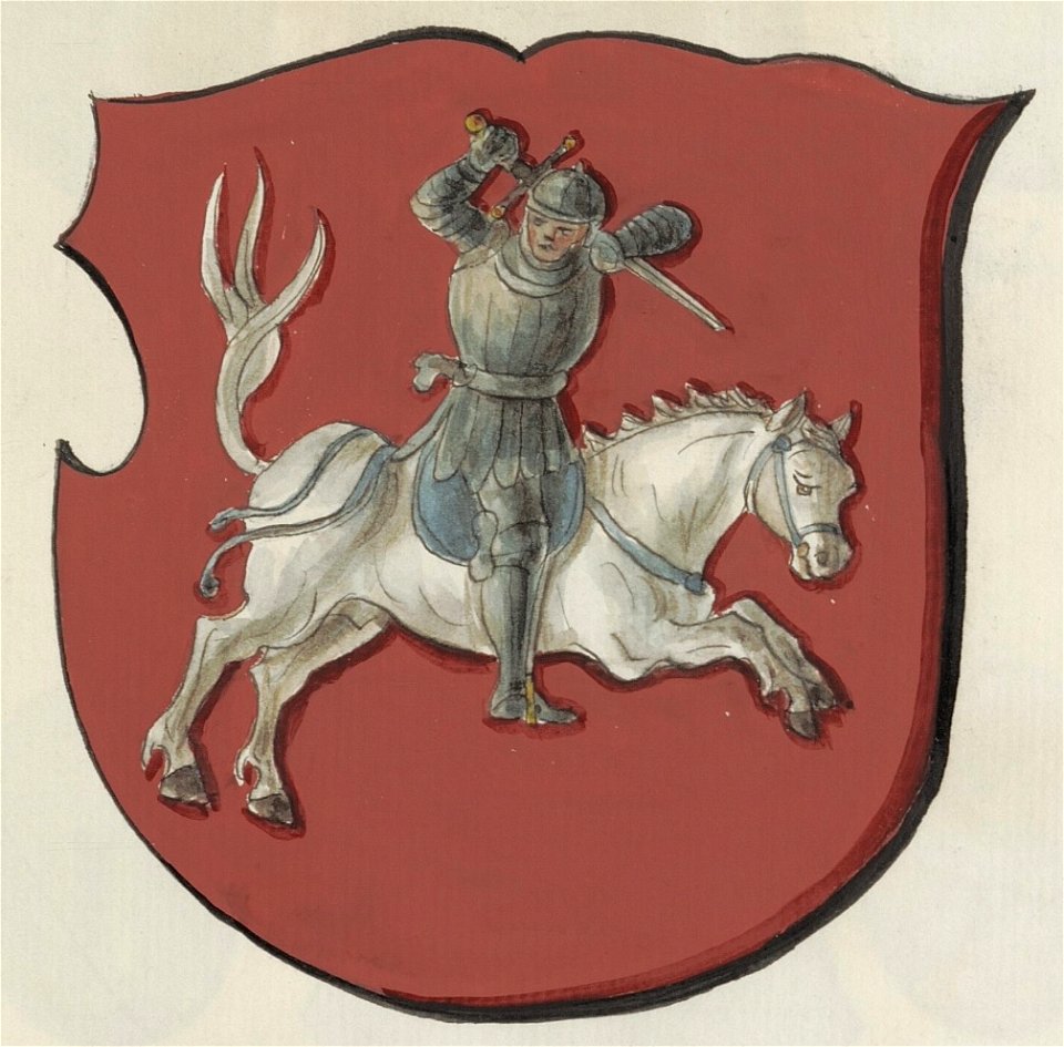 Coat of arms of the Vilnius Voivodeship, painted in 1875