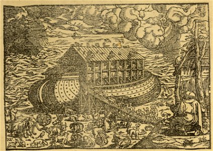 Biblia Leopolity – Arka Noego