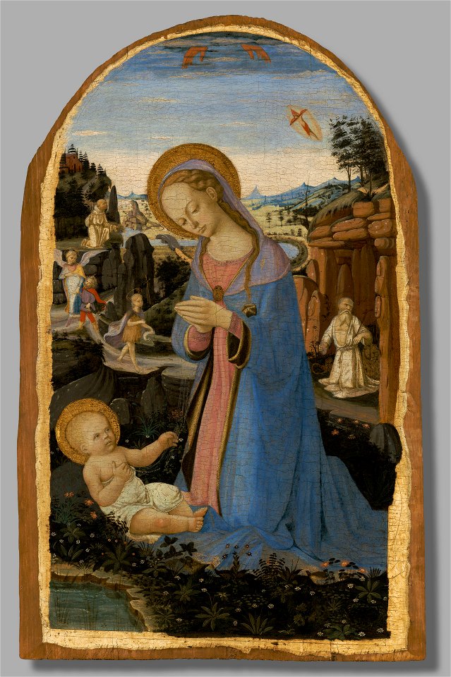 Biagio d’Antonio - The Adoration of the Christ Child with Saint Francis of Assisi Receiving the Stigmata, Tobias and th - 1871.45 - Yale University Art Gallery