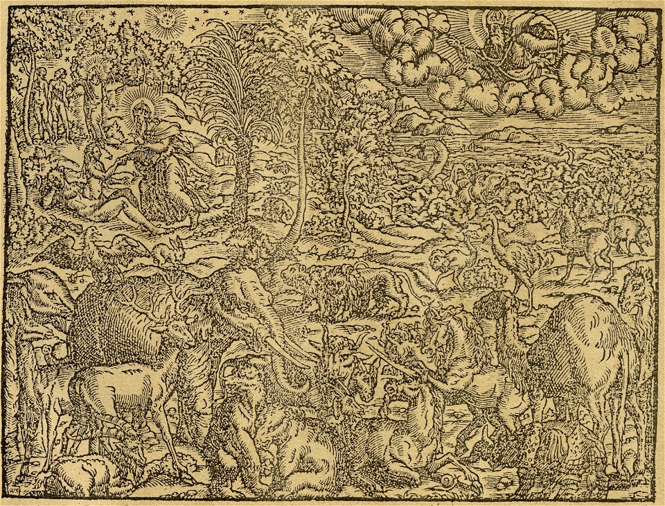 Biblia Leopolity – stworzenie świata