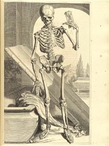 Bidloo Ontleding 1690 87