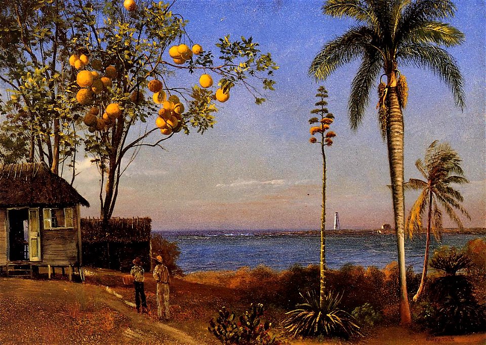 Bierstadt Albert A View in the Bahamas