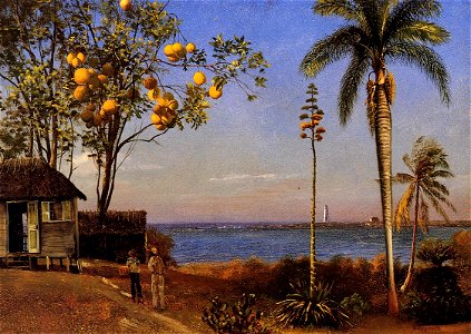 Bierstadt Albert A View in the Bahamas
