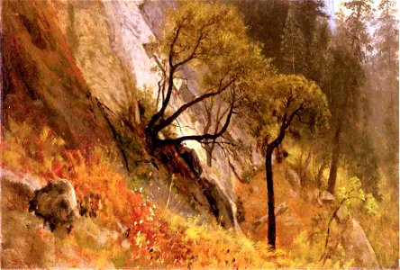 Bierstadt Albert Landscape Study Yosemite California