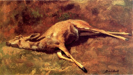 Bierstadt Albert Native of the Woods