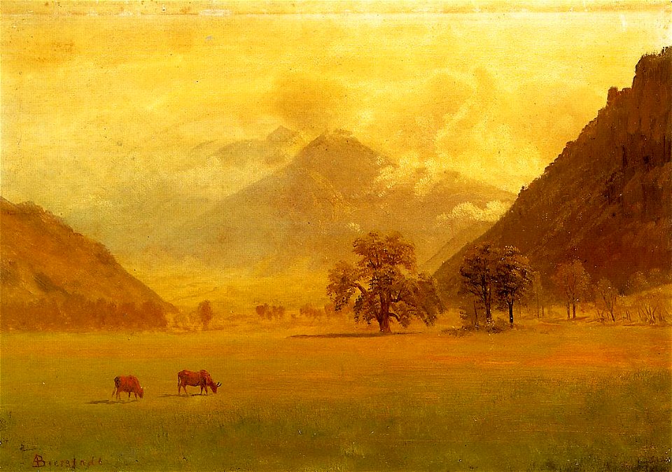 Bierstadt Albert Rhone Valley