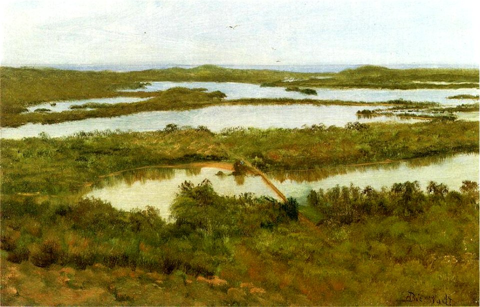 Bierstadt Albert A River Estuary