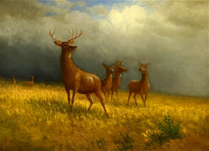 'Three Deer and a Stag' by Albert Bierstadt, c. 1885