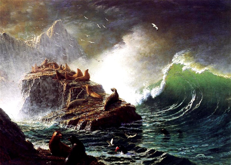 Bierstadt Albert Seals on the Rocks Farallon Islands