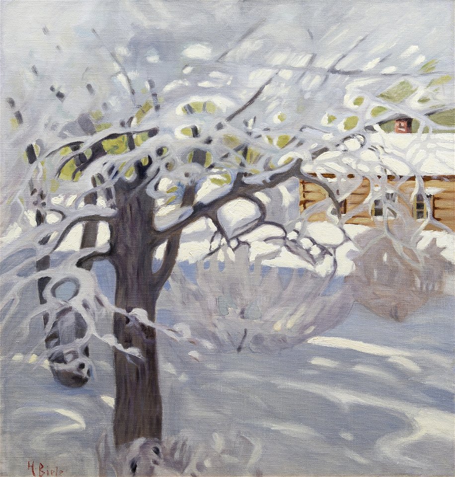 Biese Sunny winter day
