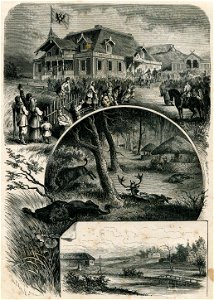 Biełavieskaja pušča. Белавеская пушча (1882)