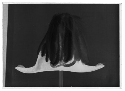 Bikorn hovfurir - Livrustkammaren - 34641-negative