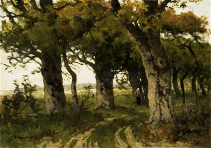 Eikenlaan in de nazomer. Rijksmuseum SK-A-1922