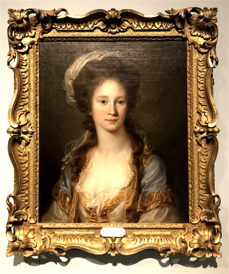 Bildnis der Caterina Odescalchi, Herzogin von Bracciano, Sirmio und Ceri, Angelika Kauffmann (1783), Privatsammlung gezeigt im Museum Kunstpalast Februar 2020