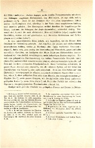 Bildnis einer Römerin 19