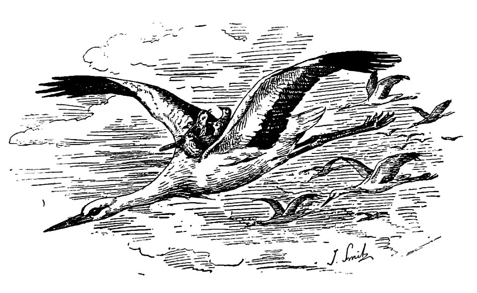 Bird Watching (Selous1901) p128