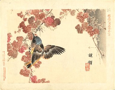 Bird and red vine