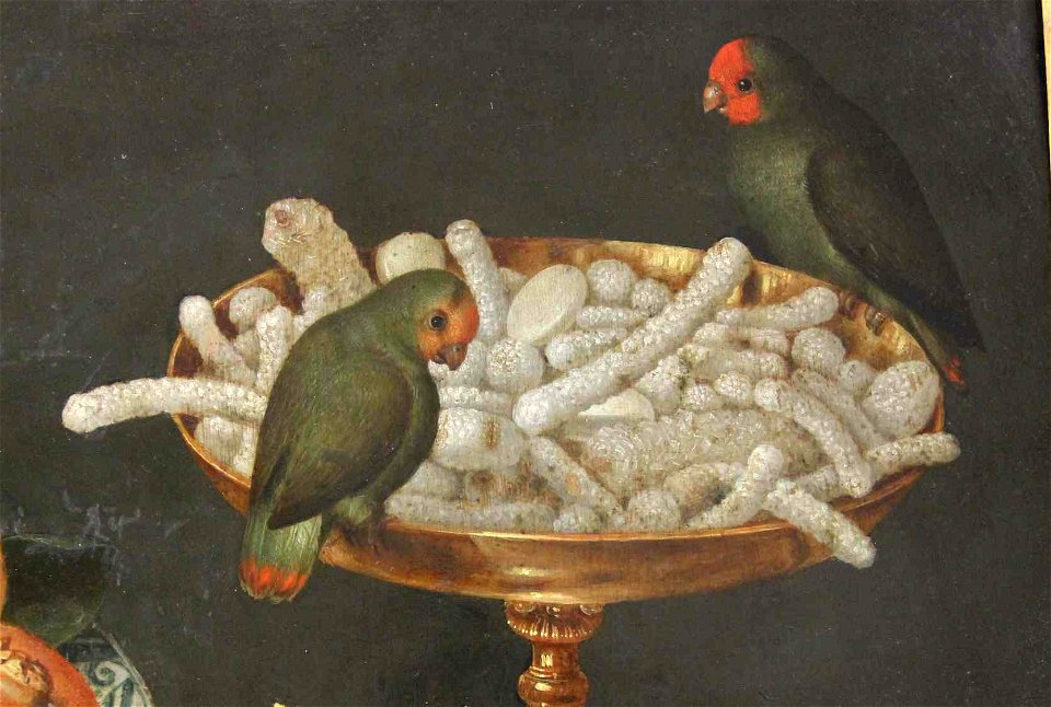 Peter Binoit, Nature morte, musée des Beaux-Arts de Mulhouse, inv. 58.1.79 (détail)