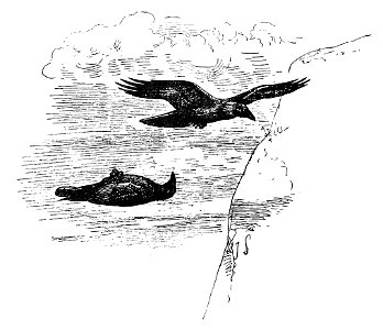Bird Watching (Selous1901) p135