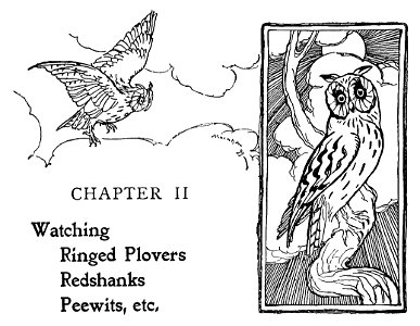 Bird Watching (Selous1901) p021
