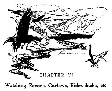 Bird Watching (Selous1901) p129. Free illustration for personal and commercial use.