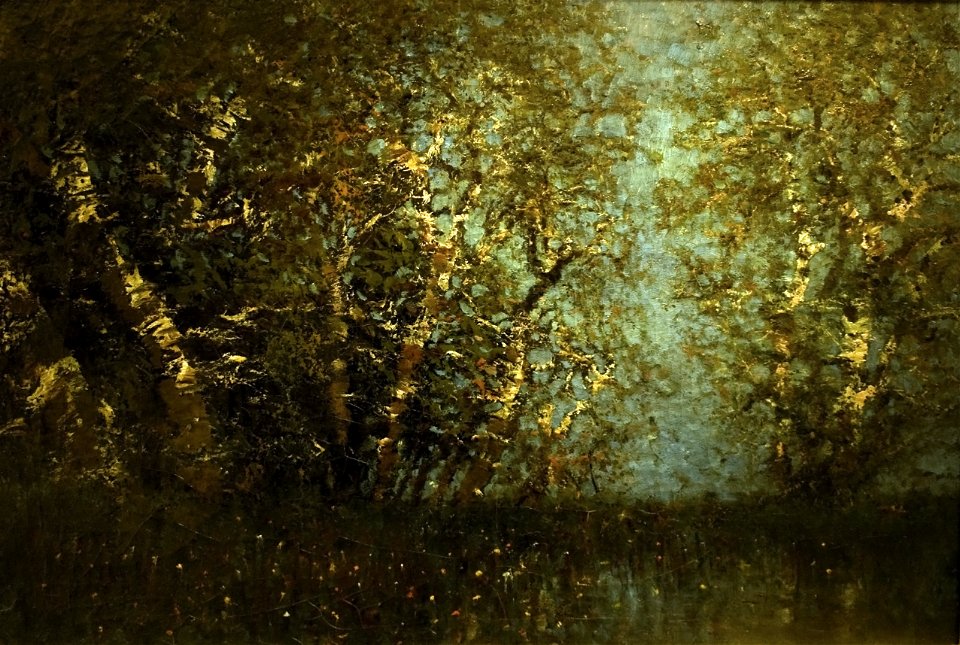 Birch Forest
