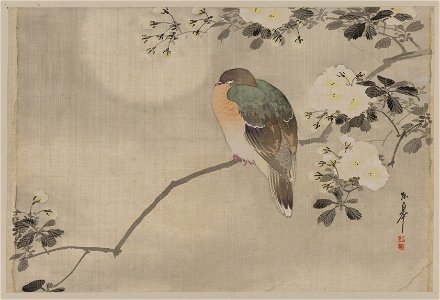 Bird perched on a branch of a blossoming tree LCCN2009630005