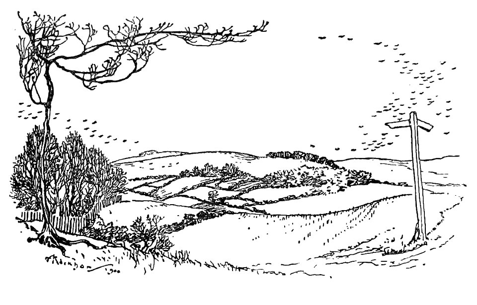 Bird Watching (Selous1901) p003