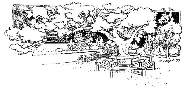 Bird Watching (Selous1901) p301
