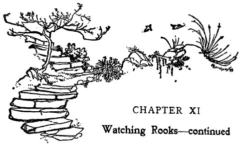 Bird Watching (Selous1901) p274. Free illustration for personal and commercial use.