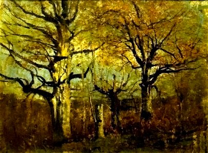 Birches