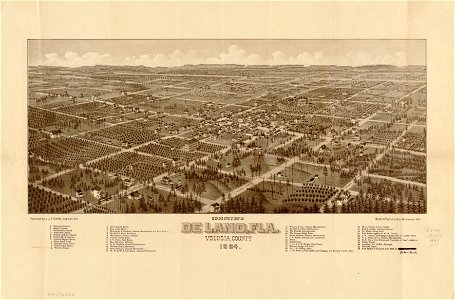 Bird's eye view of De Land, Fla., Volusia County, 1884 LOC 89692606