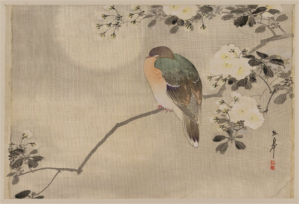 Bird perched on a branch of a blossoming tree LCCN2009630005