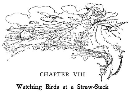 Bird Watching (Selous1901) p199. Free illustration for personal and commercial use.