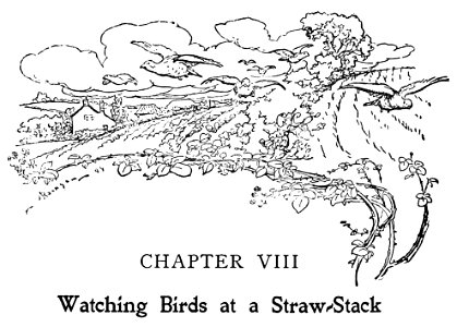 Bird Watching (Selous1901) p199