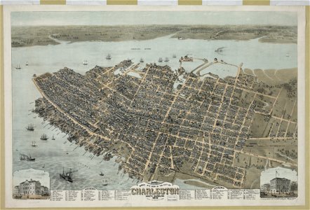 Bird's eye view of the city of Charleston South Carolina 1872 - C. Drie, lithographer. LCCN2006676669