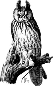 Birdcraft (1903), plate 52
