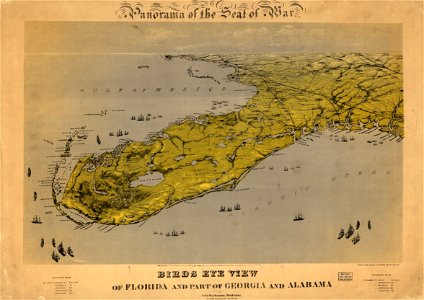 Birds eye view of Florida and part of Georgia and Alabama LOC 99447266