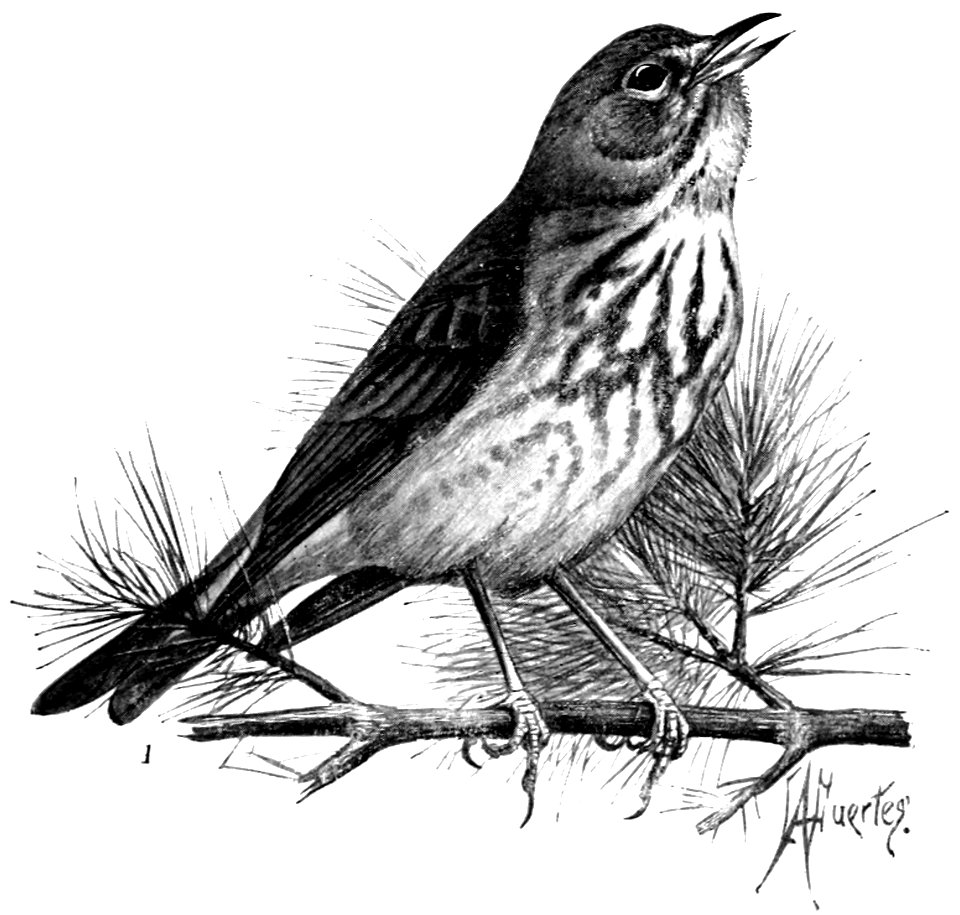 Birdcraft (1903), plate 8-1