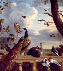 Birds near a balustrade, by Melchior d' Hondecoeter. Free illustration for personal and commercial use.