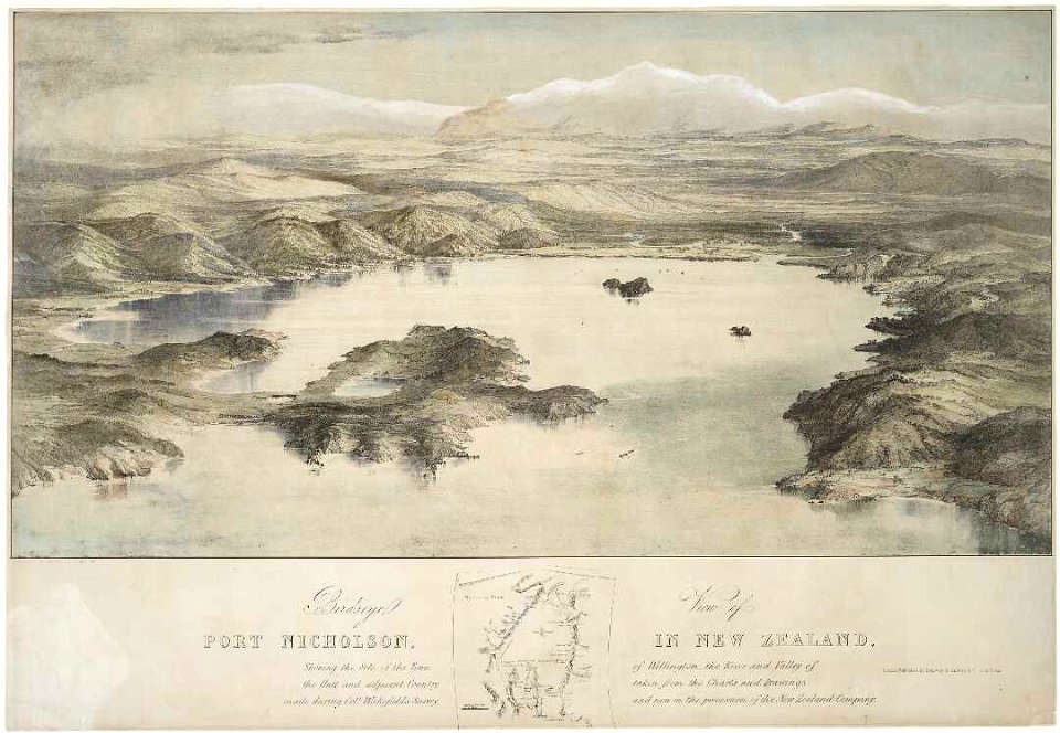Birdseye view of Port Nicholson C-029-006-b