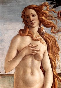 Birth of Venus detail